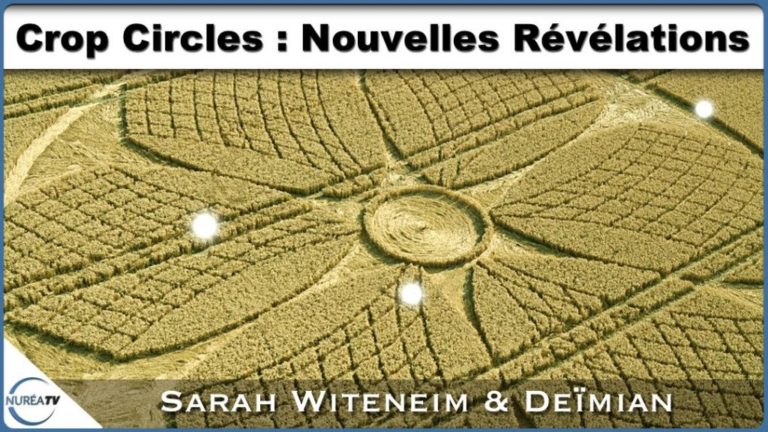 Crop Circle Nouvelles révélations