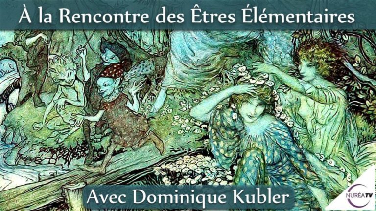 Dominique Kubler les êtres élémentaires
