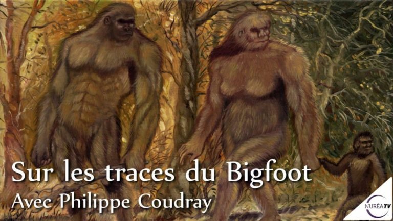 sur les traces du Bigfoot