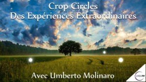 Umberto Molinaro crop circle