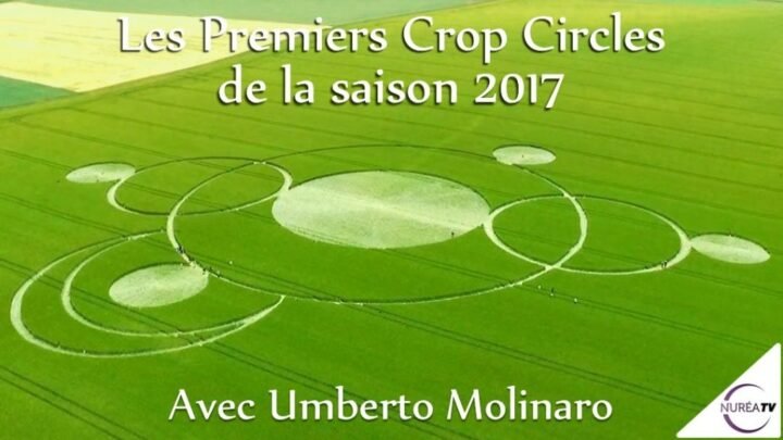 Umberto Molinaro crop circle