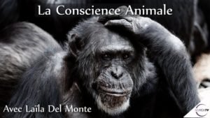 Conscience animale avec Laila Del Monte