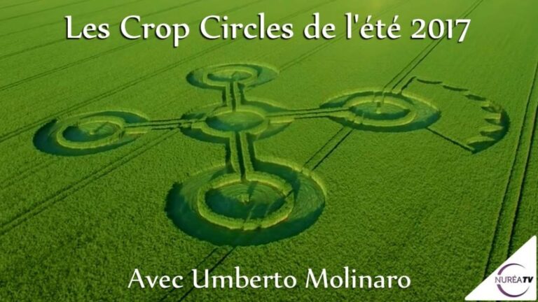 Umberto Molinaro crop circle