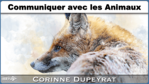 Communiquer animaux Corinne Dupeyrat NUREA TV
