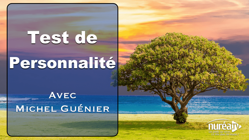 Test de Personnalité avec Michel Guenier