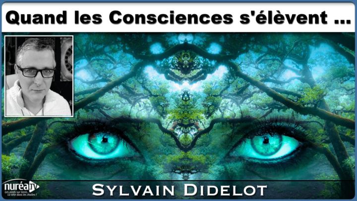 Sylvain Didelot conscience Nuréa TV