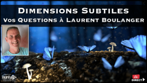 Dimensions Subtiles : Vos questions à Laurent Boulanger sur Nuréa TV