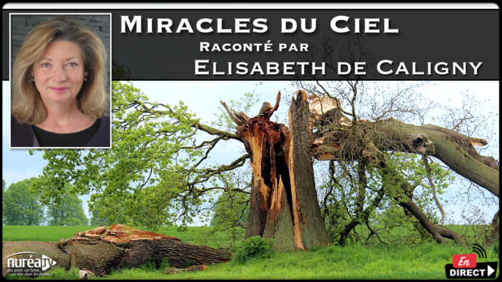 Miracles du Ciel raconté par Élisabeth de Caligny