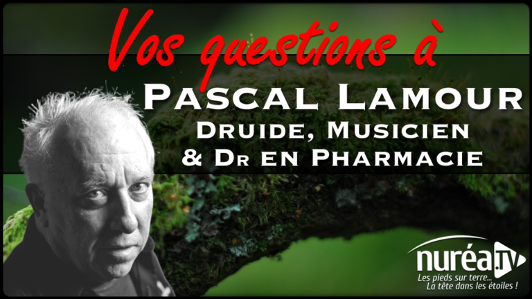 Vos questions à Pascal Lamour Druide moderne