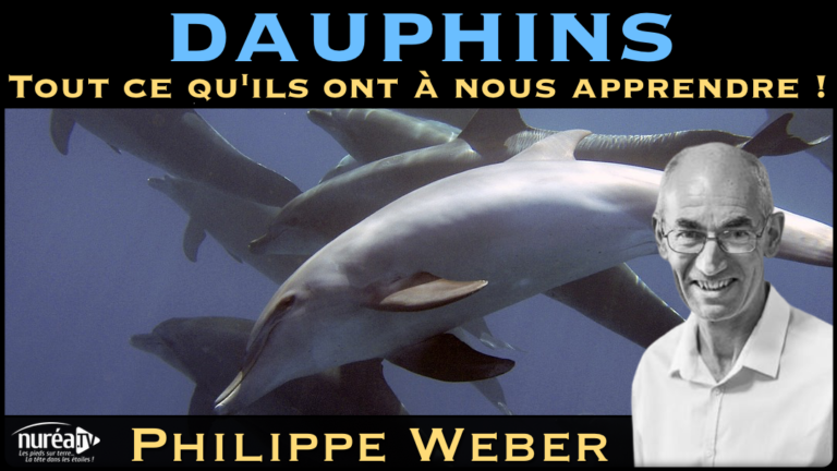 « Les Dauphins : Tout ce qu’ils ont à nous Apprendre ! » avec Philippe Weber