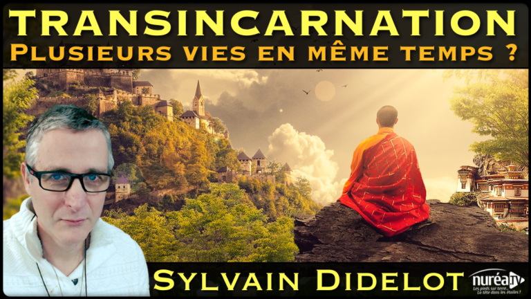 transincarnation plusieurs vies en même temps avec sylvain didelot