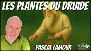 Pascal Lamour les plantes des druides