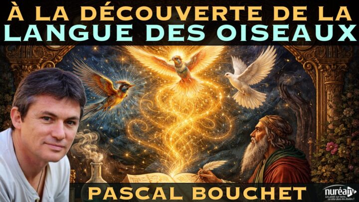 A la découverte de la Langue des Oiseaux | Pascal Bouchet