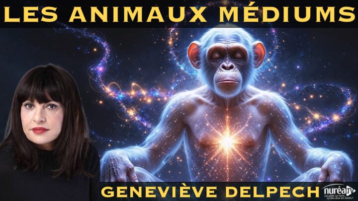Les Animaux Médiums | Geneviève Delpech