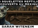 Des squelettes reptiliens découverts au Mexique ? avec Sarah Witeneim