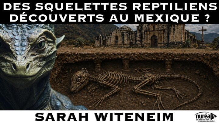 Des squelettes reptiliens découverts au Mexique ? avec Sarah Witeneim