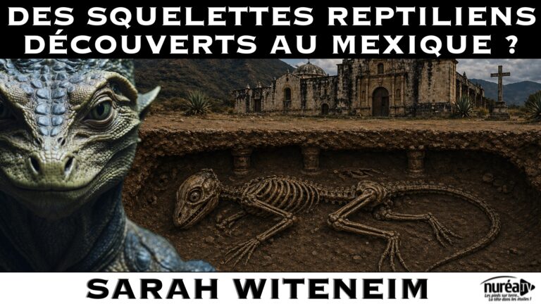 Des squelettes reptiliens découverts au Mexique ? avec Sarah Witeneim