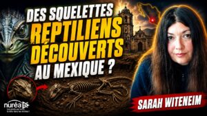Sarah witeneim reptiliens