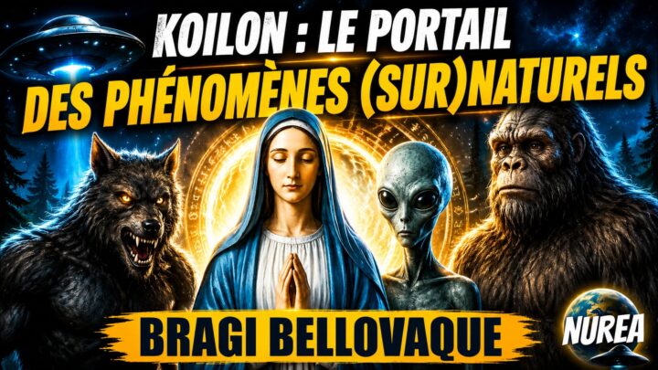 Bragi Bellovaque koilon