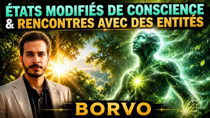 borvo entités