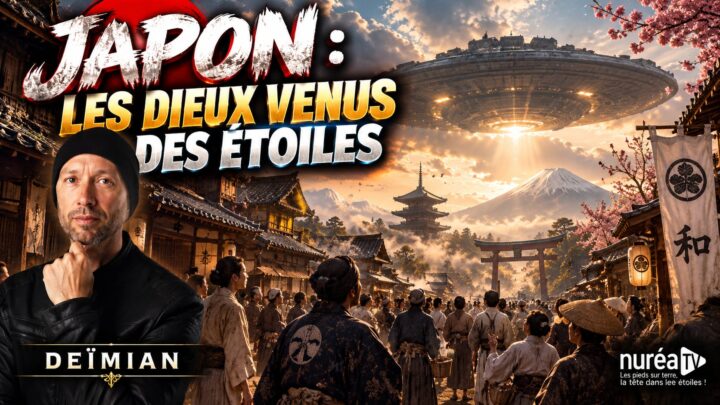 DEIMIAN JAPON